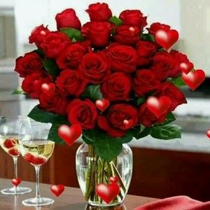 Meet your Posher, Patricia